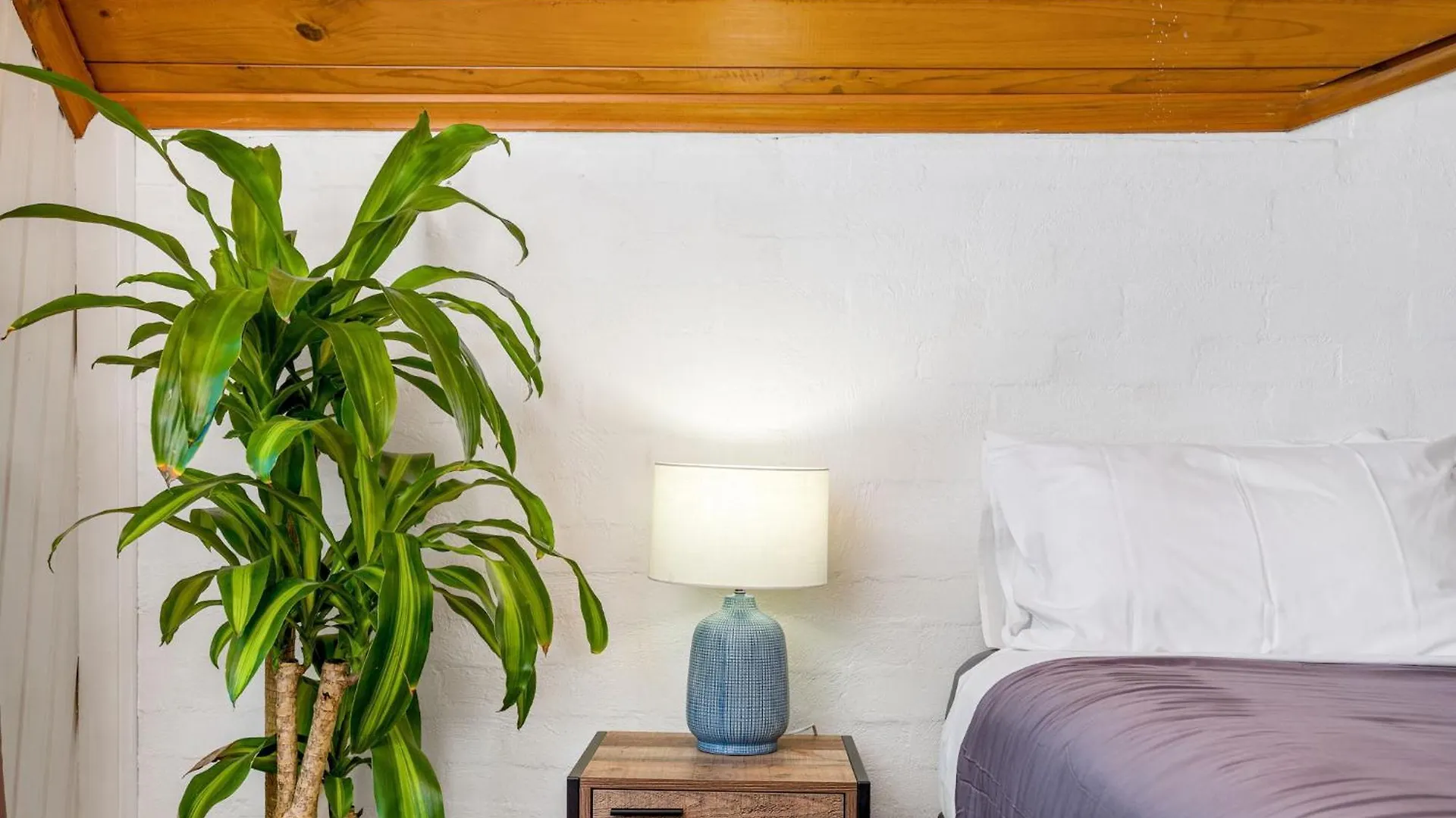 Aquarius Backpackers Resort Byron Bay Hostel